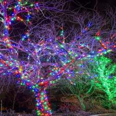 Вулична гірлянда 800 LED діодів 50 метрів (мульті колір, зелений провід)